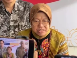 Mensos Risma, Korban Judi Online Dapat bansos