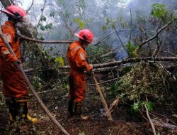 BMKG Deteksi 165 Titik Panas di Kalbar, Kabut Asap Mulai Muncul di Pontianak