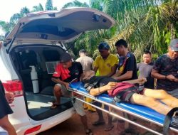 Pekerja PT PSP Tewas Tenggelam di Parit Afdeling 3