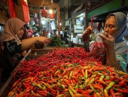 Harga Cabai Melonjak di Libur Nataru, Tembus Rp 90 Ribu per Kilogram