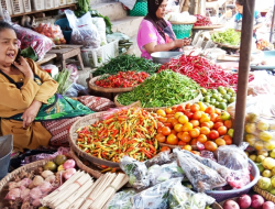 Menko Pangan Pastikan Pasokan Bahan Pokok Aman Jelang Nataru dan Cuaca Ekstrem