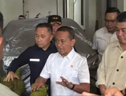 Atasi Kekacauan LPG 3 Kg, Menteri ESDM Bahlil Ditelfon Presiden