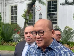 Rosan Perkasa Roeslani Ditunjuk sebagai CEO Badan Pengelola Investasi Danantara