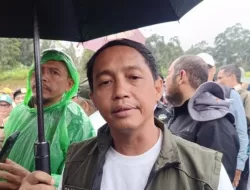 Ladang Ganja, Menteri Kehutanan Pastikan Tidak Tumbuh Kembali