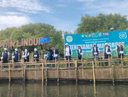Jakarta Hadapi Ancaman Potensi Tenggelam: Mangrove Jadi Solusi
