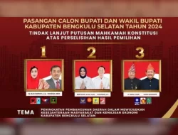 Link Hasil Real Count PSU Pilkada Bengkulu Selatan 2025