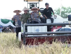 Bupati Satono Targetkan Ekspor, Sambas Pimpin Panen Raya Kalbar