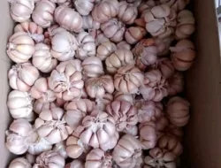 Harga Bawang di Pasar Rumput Masih Tinggi, HAP Capai 47%