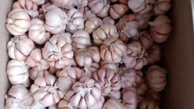Harga Bawang di Pasar Rumput Masih Tinggi, HAP Capai 47%