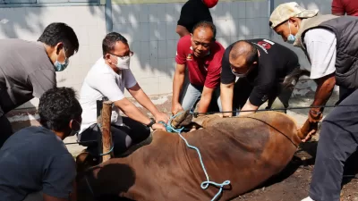 Muhammadiyah Tetapkan Idul Adha 2025 Jatuh pada 6 Juni