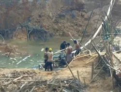 Warga Tewas di Tambang Emas Ilegal Bengkayang, Pemerintah Diminta Bertindak Tegas