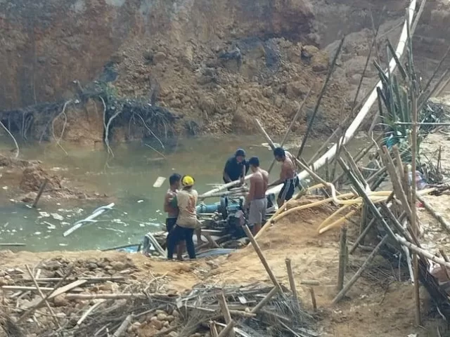 Warga Tewas di Tambang Emas Ilegal Bengkayang, Pemerintah Diminta Bertindak Tegas