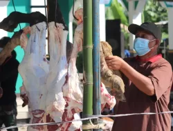 BAZNAS Jelaskan Tata Cara Pembagian Daging Kurban yang Sesuai Syariat