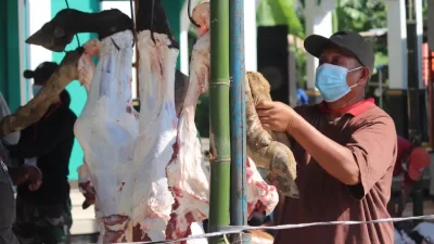 DAGING KURBAN, gambar: By: Baznaz