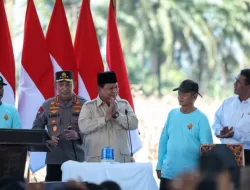 Presiden Prabowo Hadiri Panen Raya Jagung di Bengkayang, Tunjukkan Komitmen Jaga Ketahanan Pangan