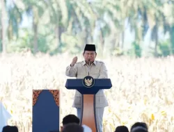 Presiden Prabowo Apresiasi Panen Raya Jagung Di Bengkayang