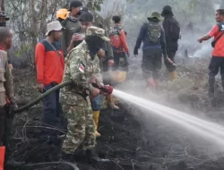 Karhutla di Rasau Jaya, Bupati Sujiwo Turun Tangan Padamkan Api