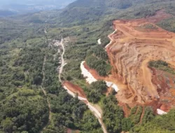 Gelombang Protes Tambang Nikel di Raja Ampat, Selebritas Turut Suarakan Penolakan