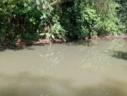 PETI Resahkan Warga, Polsek Bengkayang Bertindak