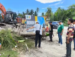 Tragedi di Proyek Jembatan Mempawah, Warga Tewas Tertimpa Pohon Palem