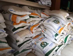 Presiden Prabowo Salurkan Bantuan Beras 18,2 Juta Penerima Mulai Akhir September