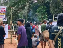 Portal Dibuka Tanpa Musyawarah, Warga Jelai Hulu Ketapang Ungkap Kecewaan